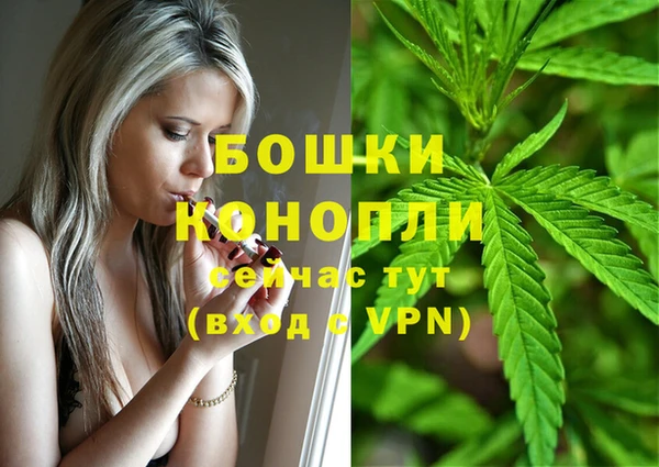 молекула духа Баксан
