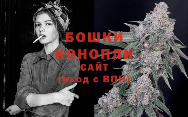 стаф Снежинск