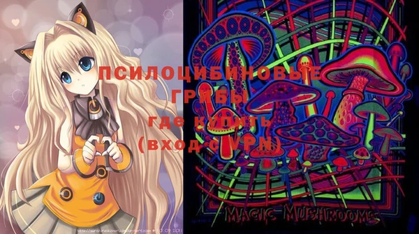 молекула духа Баксан